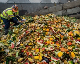 14 Food waste facts you need to know
